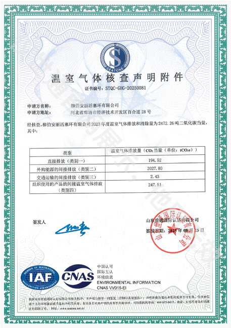 柳伯安丽活塞环有限公司2.png